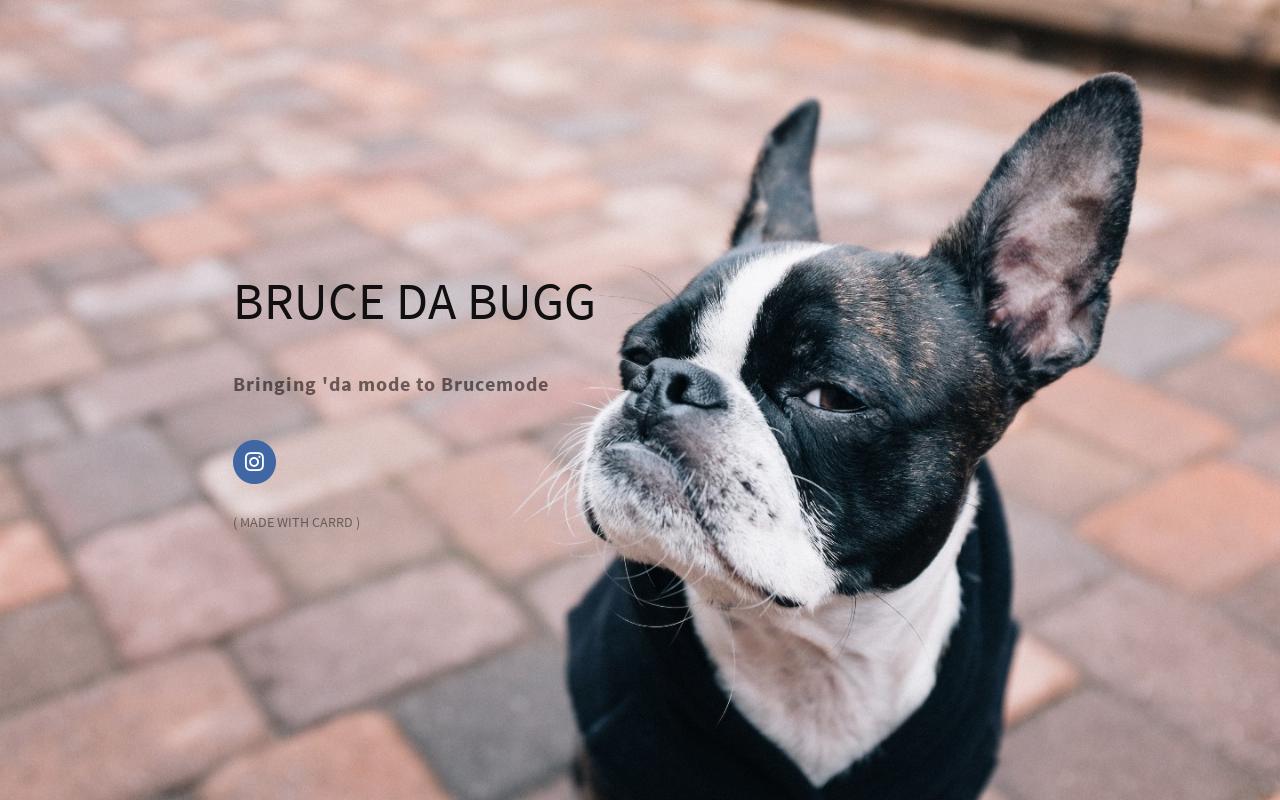 Carrd profile picture for @bruce